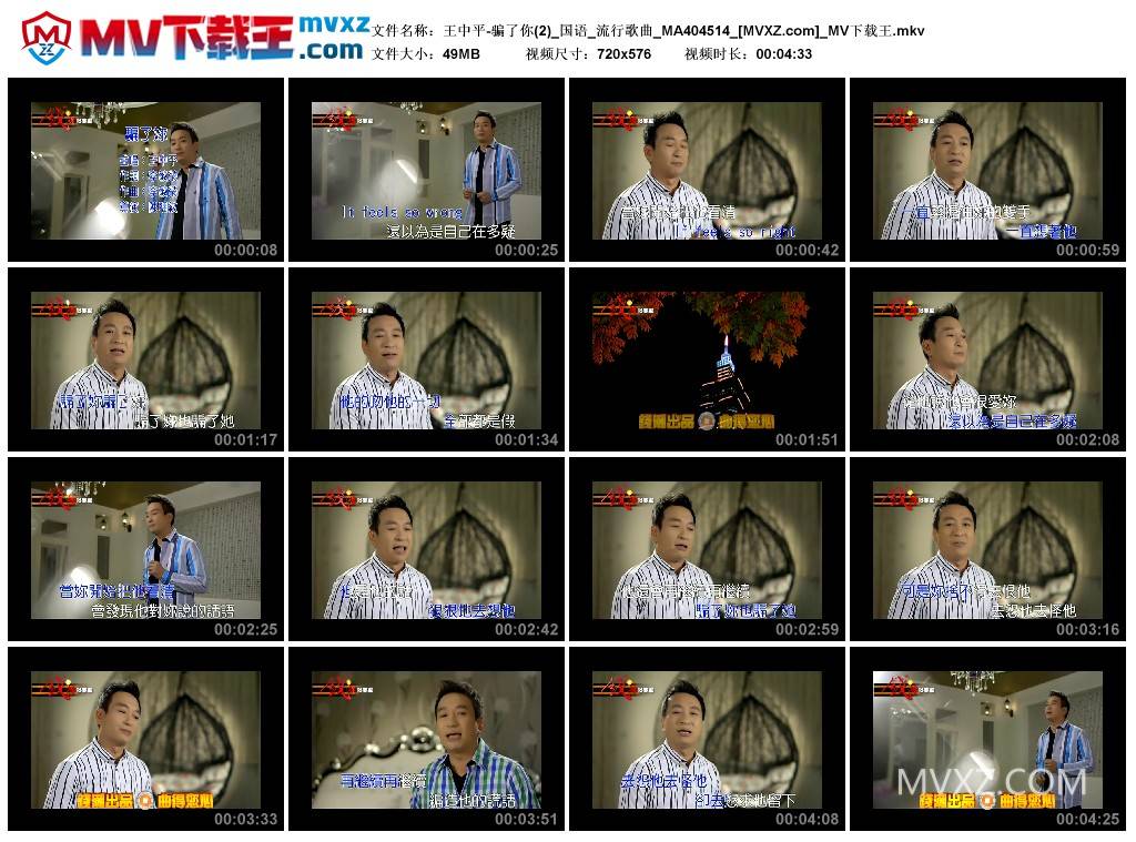 王中平-骗了你(2)_国语_流行歌曲_MA404514